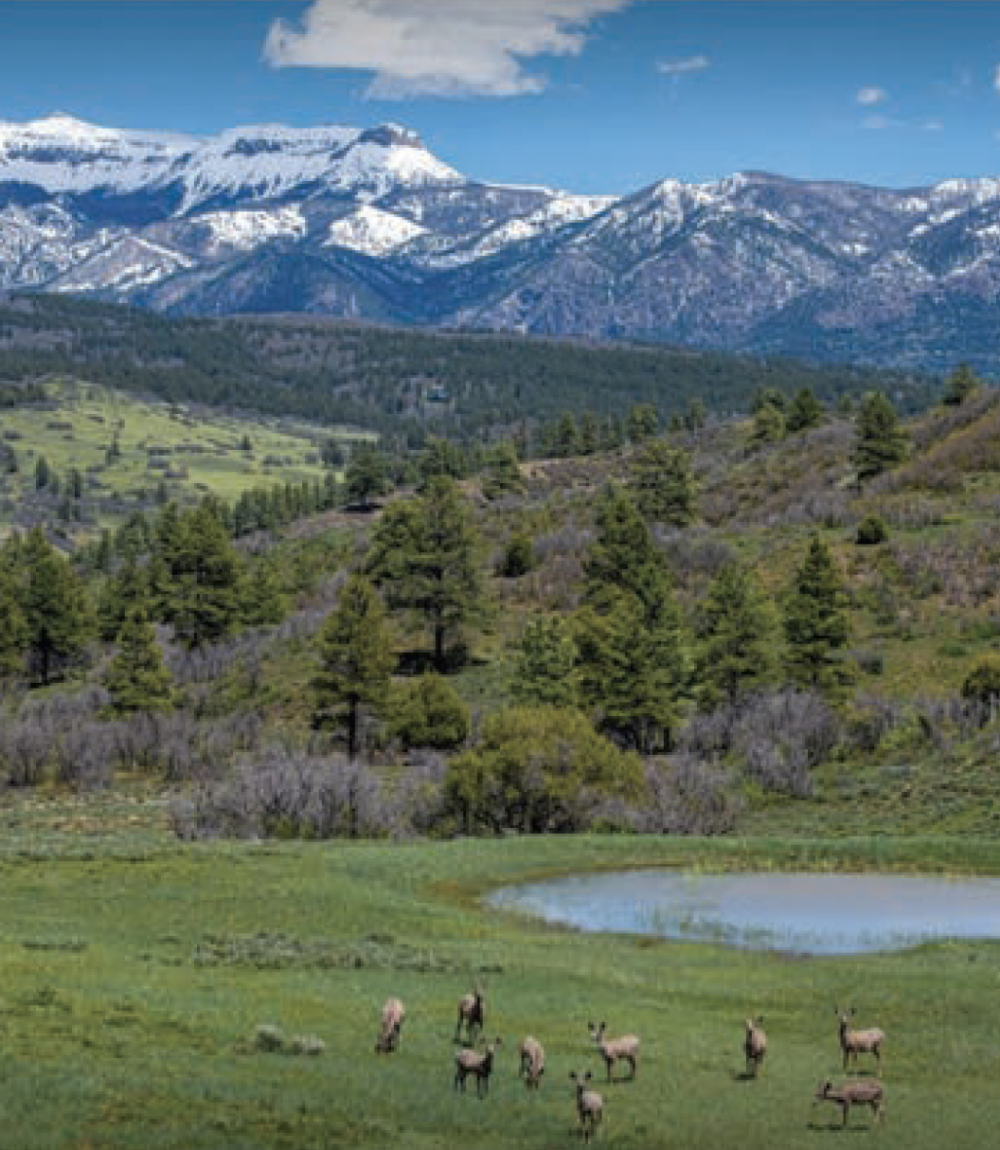 Crowley Ranch Reserve, Pagosa Springs, Colorado