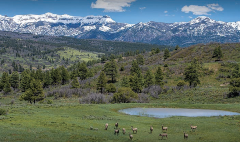 Crowley Ranch Reserve, Pagosa Springs, Colorado